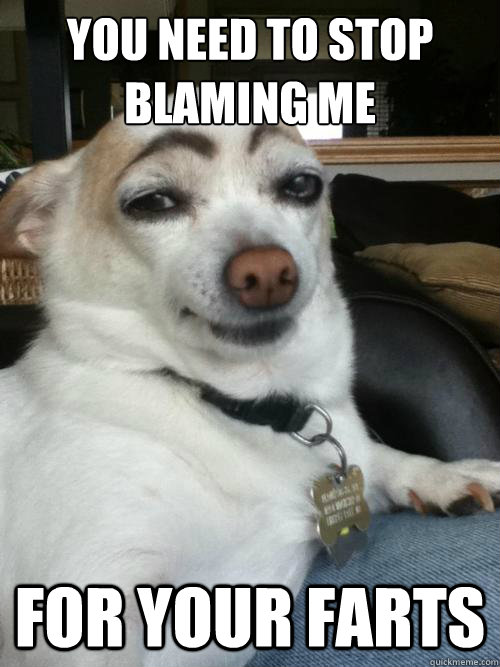 you need to stop blaming me for your farts  dog did it