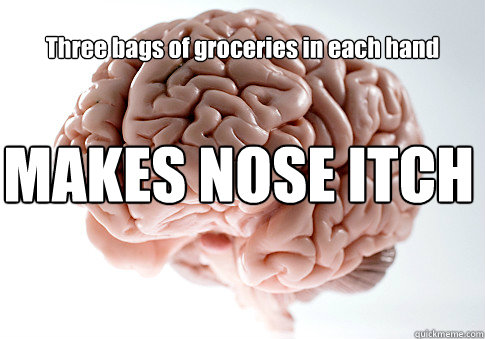Three bags of groceries in each hand  MAKES NOSE ITCH  Scumbag Brain