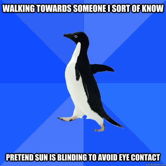 walking towards someone i sort of know pretend sun is blinding to avoid eye contact  Socially Awkward Penguin
