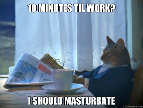 10 minutes til work? i should masturbate - 10 minutes til work? i should masturbate  The One Percent Cat