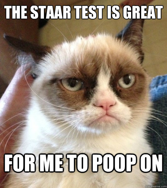 the staar test is great for me to poop on - the staar test is great for me to poop on  Good Day Grumpy Cat