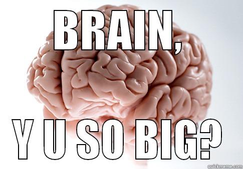 BRAIN, Y U SO BIG? Scumbag Brain