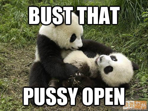 bust that  pussy open - bust that  pussy open  Penetrating Panda