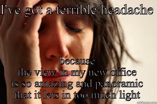 I'VE GOT A TERRIBLE HEADACHE  BECAUSE THE VIEW IN MY NEW OFFICE IS SO AMAZING AND PANORAMIC THAT IT LETS IN TOO MUCH LIGHT First World Problems