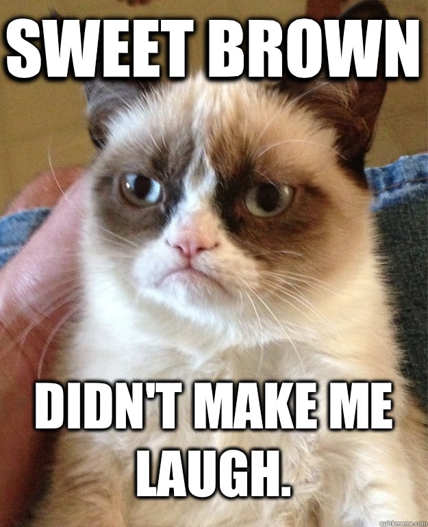 Sweet Brown Didn't Make Me Laugh. - Sweet Brown Didn't Make Me Laugh.  Grumpy Cat