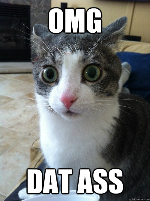 omg dat ass  Sudden Clarity Cat