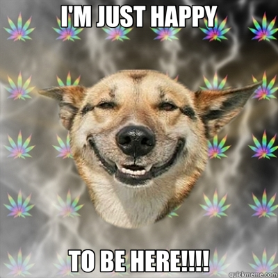 I'M JUST HAPPY TO BE HERE!!!! - I'M JUST HAPPY TO BE HERE!!!!  Stoner Dog