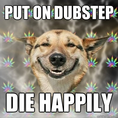 Put on dubstep Die happily  Stoner Dog