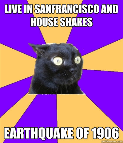 LIVE IN SANFRANCISCO AND
HOUSE SHAKES EARTHQUAKE OF 1906  Anxiety Cat