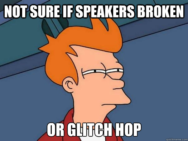 Not sure if speakers broken or glitch hop  Not sure Fry