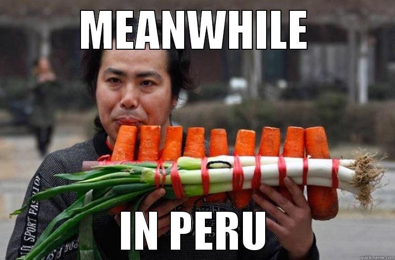 MEANWHILE IN PERU - MEANWHILE IN PERU Misc