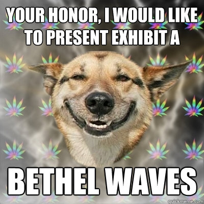 your honor, i would like to present exhibit a bethel waves - your honor, i would like to present exhibit a bethel waves  Stoner Dog