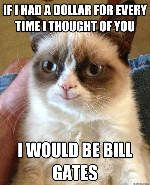 If i had a dollar for every time i thought of you I would be bill gates - If i had a dollar for every time i thought of you I would be bill gates  happy grumpy cat