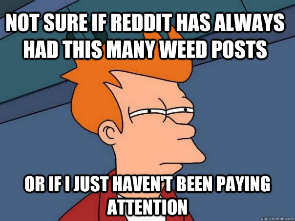 Not sure if Reddit has always had this many weed posts Or if I just haven't been paying attention  Futurama Fry
