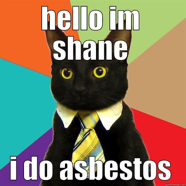 HELLO IM SHANE I DO ASBESTOS Business Cat