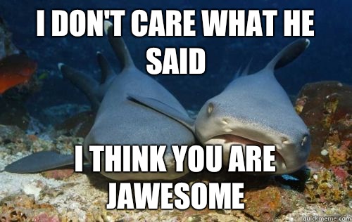 I don't care what he said i think you are jawesome  Compassionate Shark Friend