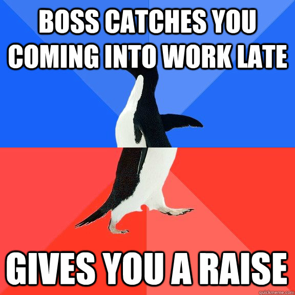 Boss catches you coming into work late Gives you a raise  Socially Awkward Awesome Penguin