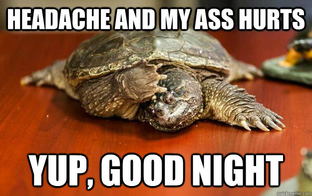 Headache and my ass hurts Yup, good night - Headache and my ass hurts Yup, good night  Hangover turtle