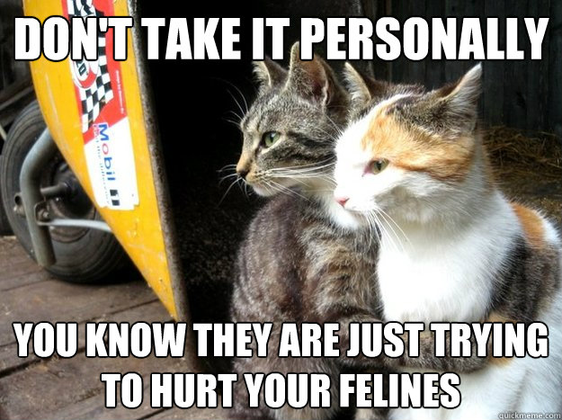 Don't take it personally You know they are just trying to hurt your felines - Don't take it personally You know they are just trying to hurt your felines  Restraining Cat