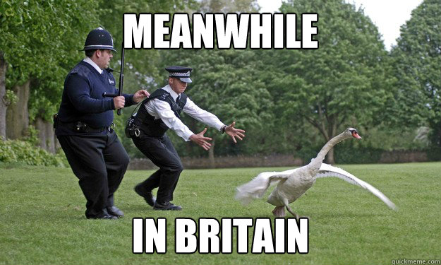 meanwhile IN BRITAIN - meanwhile IN BRITAIN  Meanwhile in Britain