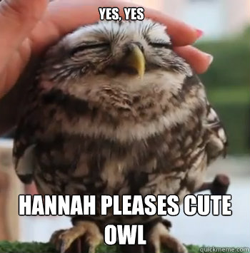 yes, yes hannah pleases cute owl  cute owl