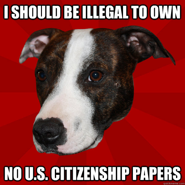 I SHOULD BE ILLEGAL TO OWN NO U.S. CITIZENSHIP papers  Vicious Pitbull Meme