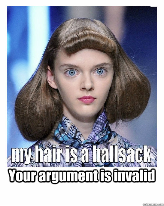 Your argument is invalid  My hair is a ballsack