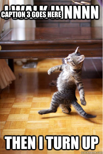 I Walk Innnnn Then I Turn Up Caption 3 goes here - I Walk Innnnn Then I Turn Up Caption 3 goes here  Strutting Cat