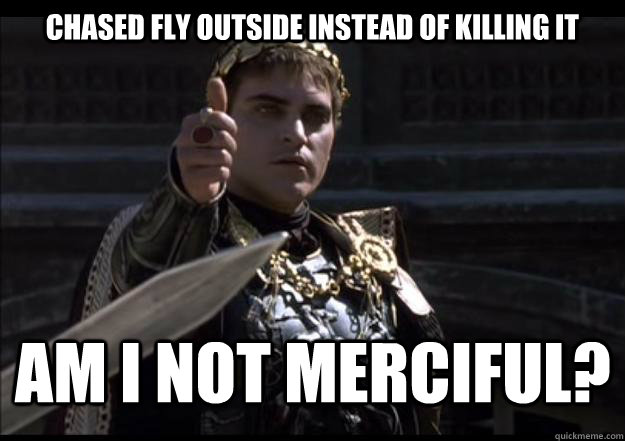 Chased fly outside instead of killing it  am i not merciful?  Upvoting Roman