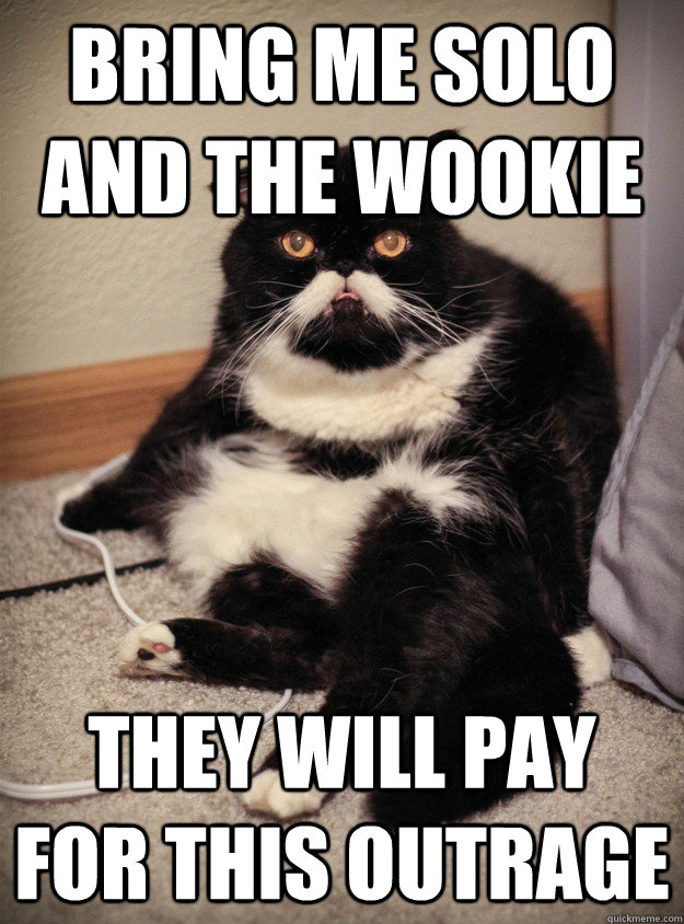 bring me solo and the wookie they will pay for this outrage - bring me solo and the wookie they will pay for this outrage  Misc
