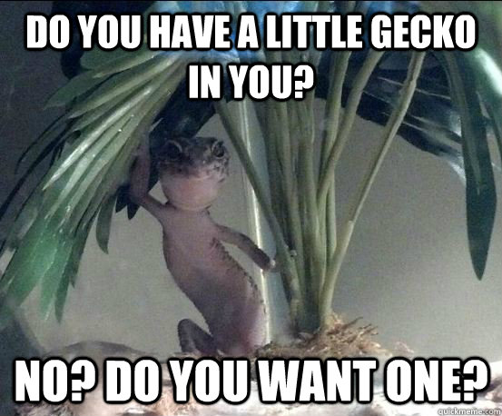 Do you have a little gecko in you? No? Do you want one? - Do you have a little gecko in you? No? Do you want one?  Suave Gecko