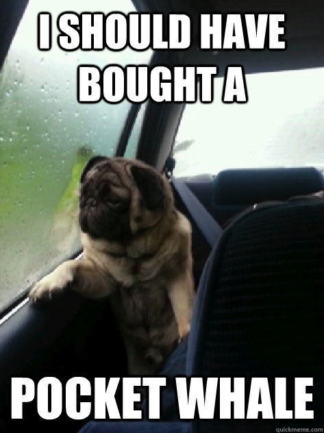 I should have bought a Pocket Whale  Introspective Pug
