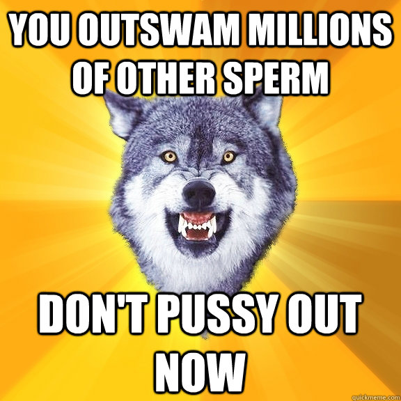 you outswam millions of other sperm don't pussy out now - you outswam millions of other sperm don't pussy out now  Courage Wolf