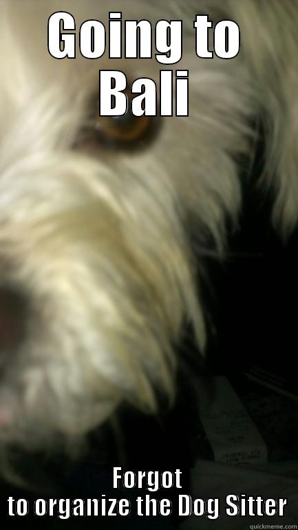 GOING TO BALI FORGOT TO ORGANIZE THE DOG SITTER Misc