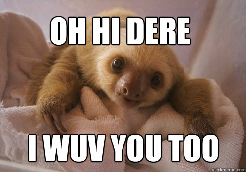 oh hi dere i wuv you too  baby sloth