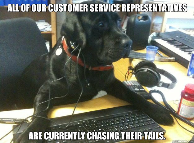 all of our customer service representatives are currently chasing their tails.   Tech Support Dog