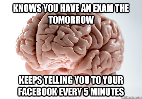 Knows you have an exam the tomorrow keeps telling you to your Facebook every 5 minutes   Scumbag Brain