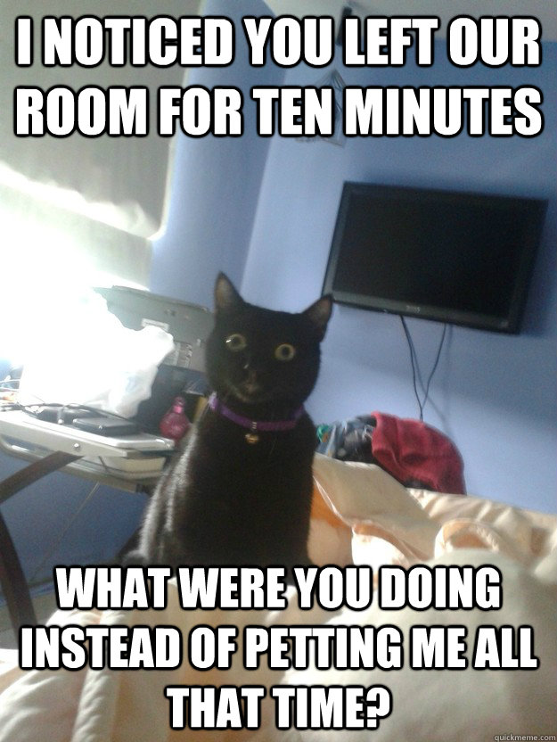I noticed you left our room for ten minutes  what were you doing instead of petting me all that time?  overly attached cat