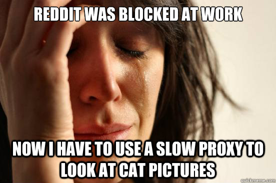 Reddit was blocked at work Now i have to use a slow proxy to look at cat pictures - Reddit was blocked at work Now i have to use a slow proxy to look at cat pictures  First World Problems