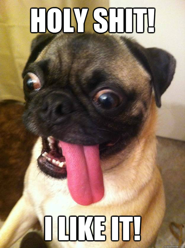 Holy Shit! I like it! - Holy Shit! I like it!  Enthusiastic Pug