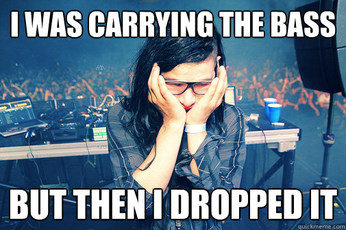 I was carrying the bass But then I dropped it  Skrillexguiz
