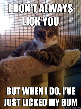 I don't always lick you but when I do, I've just licked my bum  The Most Interesting Cat in the World