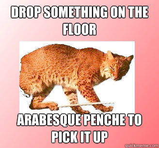 drop something on the floor arabesque penche to pick it up  