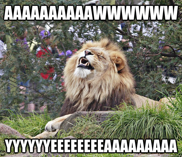 aaaaaaaaaawwwwww yyyyyyeeeeeeeeaaaaaaaaa - aaaaaaaaaawwwwww yyyyyyeeeeeeeeaaaaaaaaa  Aww yea lion