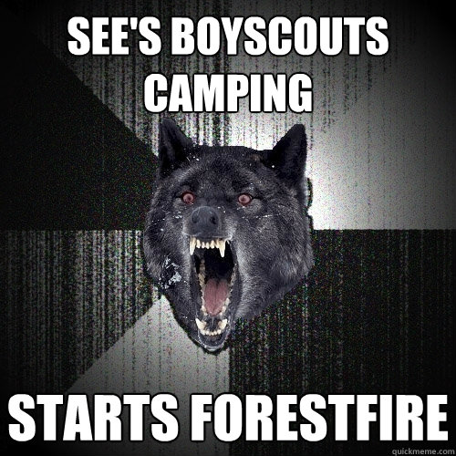 See's boyscouts camping  starts forestfire  Insanity Wolf