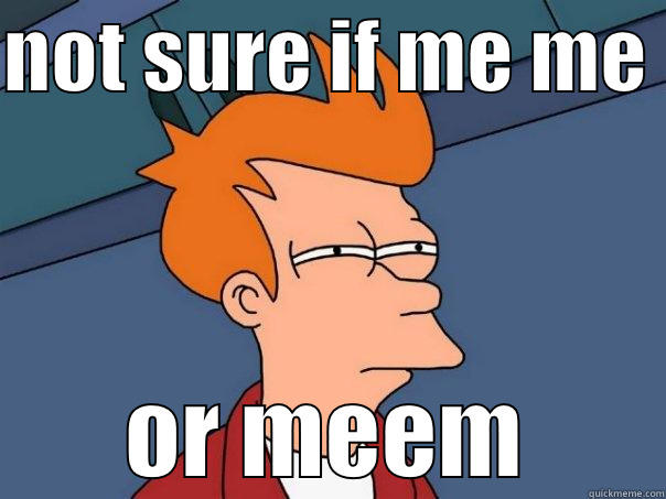 NOT SURE IF ME ME  OR MEEM Futurama Fry