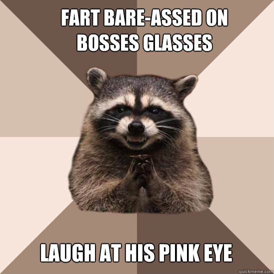 Fart Bare-Assed on bosses glasses Laugh at his pink eye  Evil Plotting Raccoon
