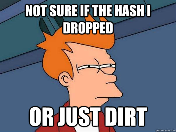 Not sure if the hash i dropped or just dirt  Futurama Fry