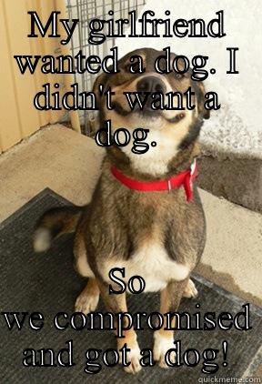 MY GIRLFRIEND WANTED A DOG. I DIDN'T WANT A DOG. SO WE COMPROMISED AND GOT A DOG! Good Dog Greg