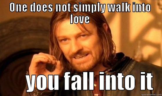 ONE DOES NOT SIMPLY WALK INTO LOVE        YOU FALL INTO IT  Boromir